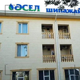 Әсел Сарыағаш шипажайы