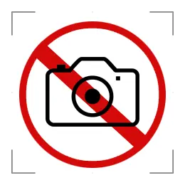 Камила Сарыағаш шипажайы