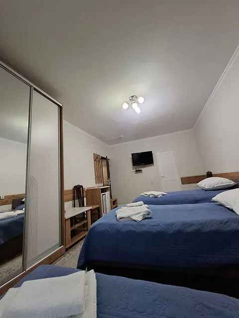 Маржан Су Сарыағаш шипажайы. Жартылай люкс номері, 1 бөлме, 3 орын