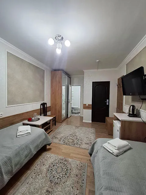 Маржан Су Сарыағаш шипажайы. Жартылай люкс номері, 1 бөлме, 2 орын