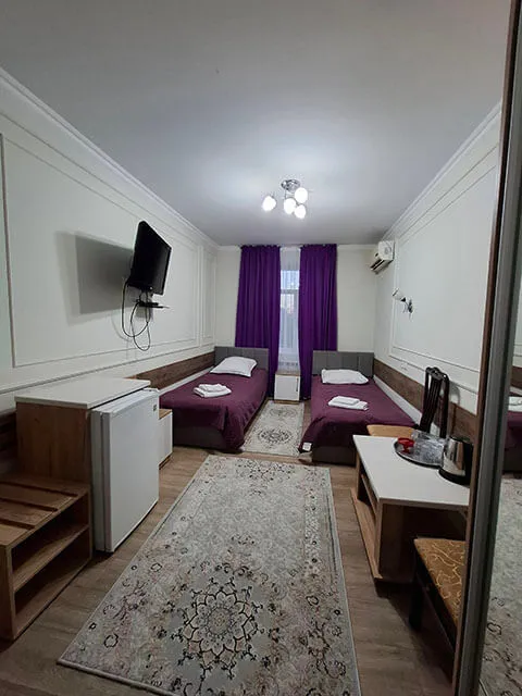 Маржан Су Сарыағаш шипажайы. Жартылай люкс номері, 1 бөлме, 2 орын